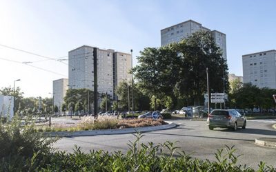 « Incidents » au Chêne des Anglais : ça commence toujours comme ça…