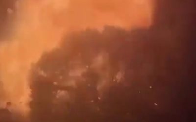 Rétablissons la Loi et l’ordre ! Le RN, vite !