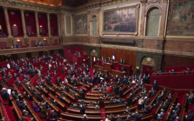 Sur la constitutionnalisation de l’IVG